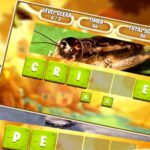 Mladíci míchaná slova